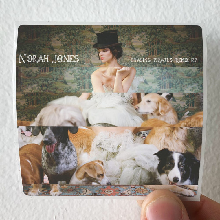 Norah Jones Chasing Pirates Remix Ep 1 Album Cover Sticker