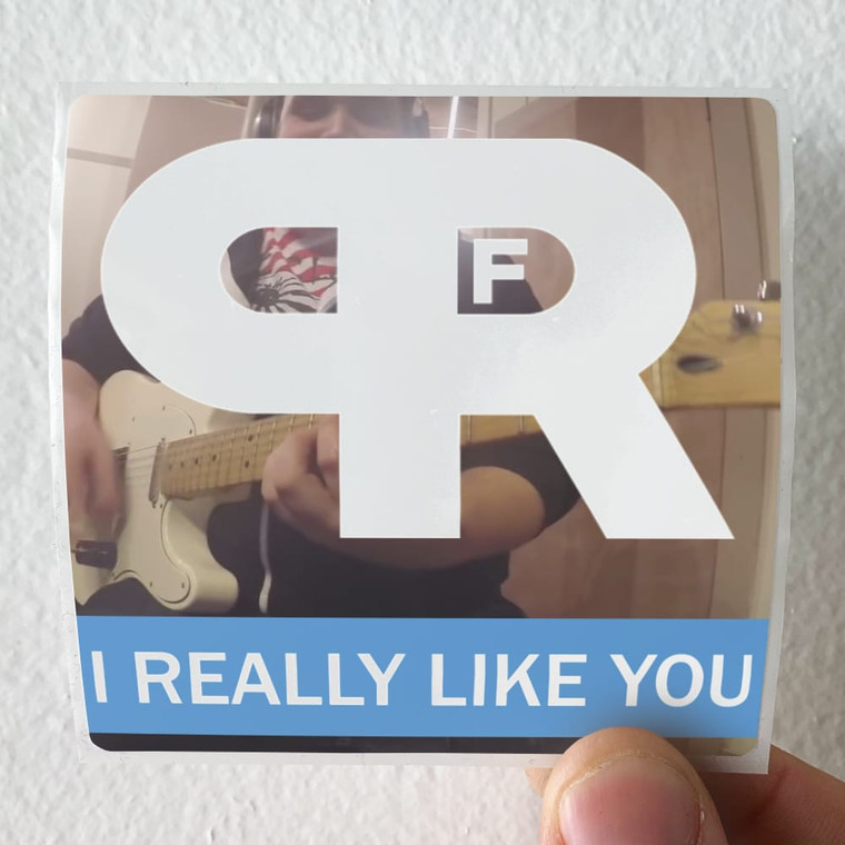 Punk Rock Factory I Really Like You Album Cover Sticker
