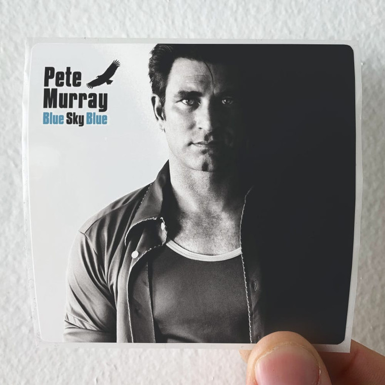 Pete Murray Blue Sky Blue 1 Album Cover Sticker