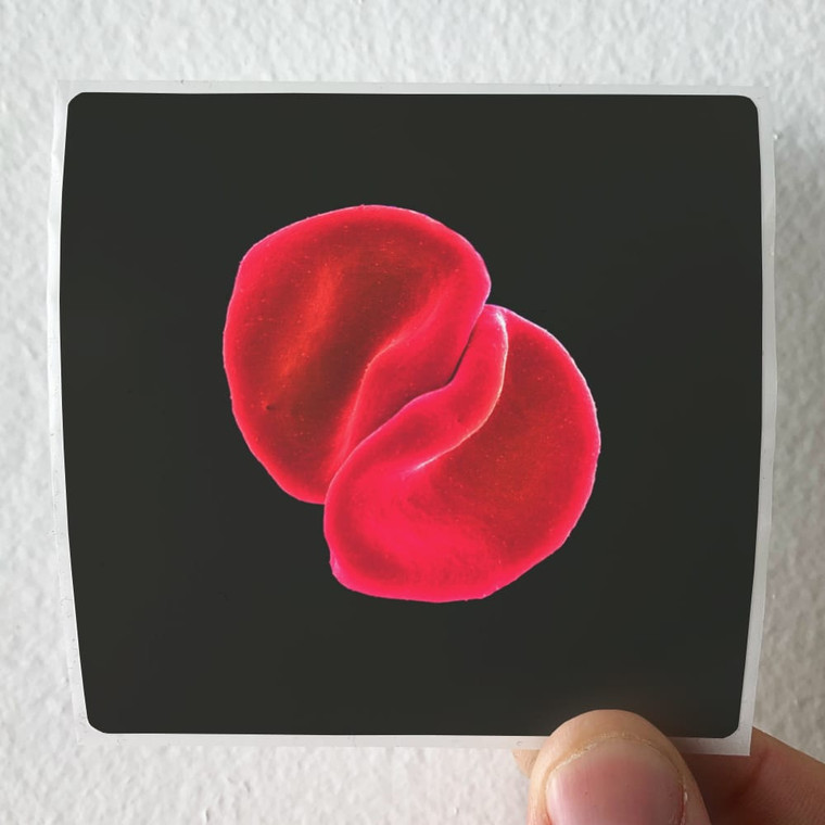 Peter Gabriel Scratch My Back Album Cover Sticker
