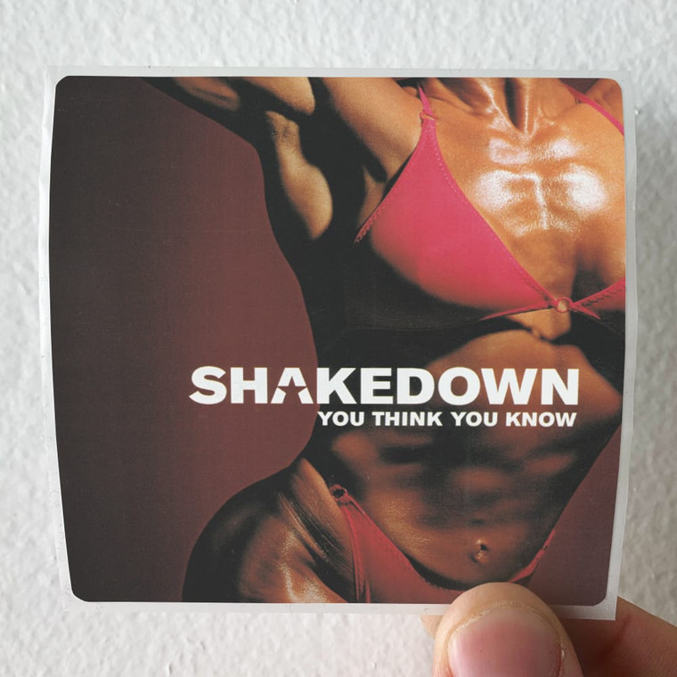 Shakedown You Think You Know Album Cover Sticker