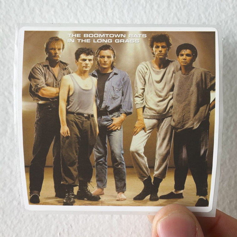 The Boomtown Rats In The Long Grass Album Cover Sticker