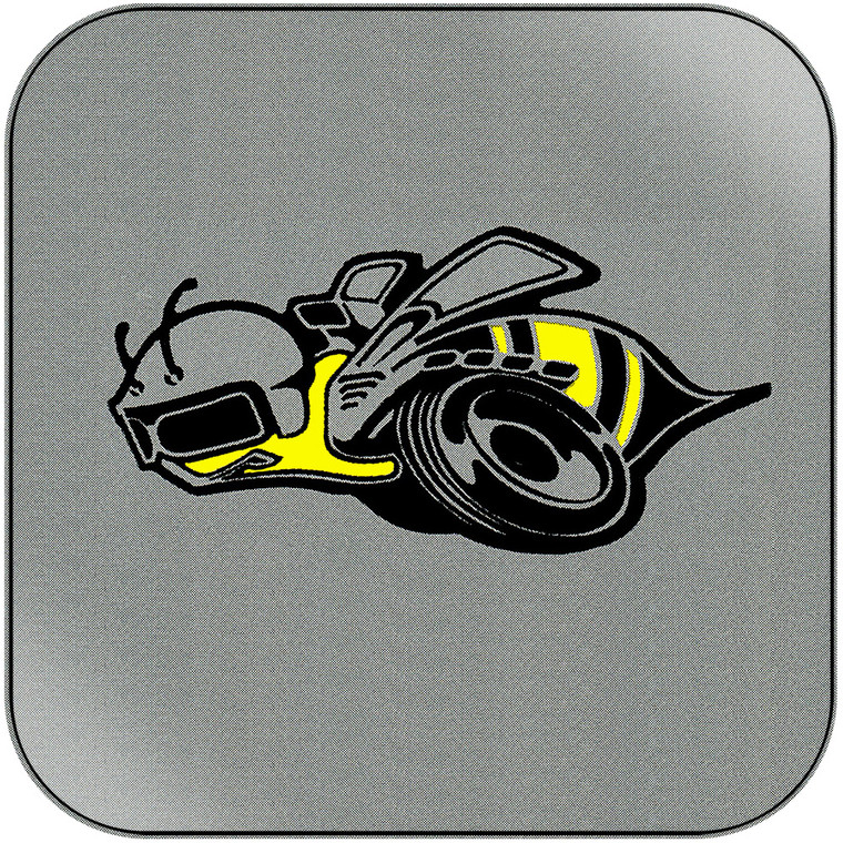 Didjits Hornet Pinata Album Cover Sticker