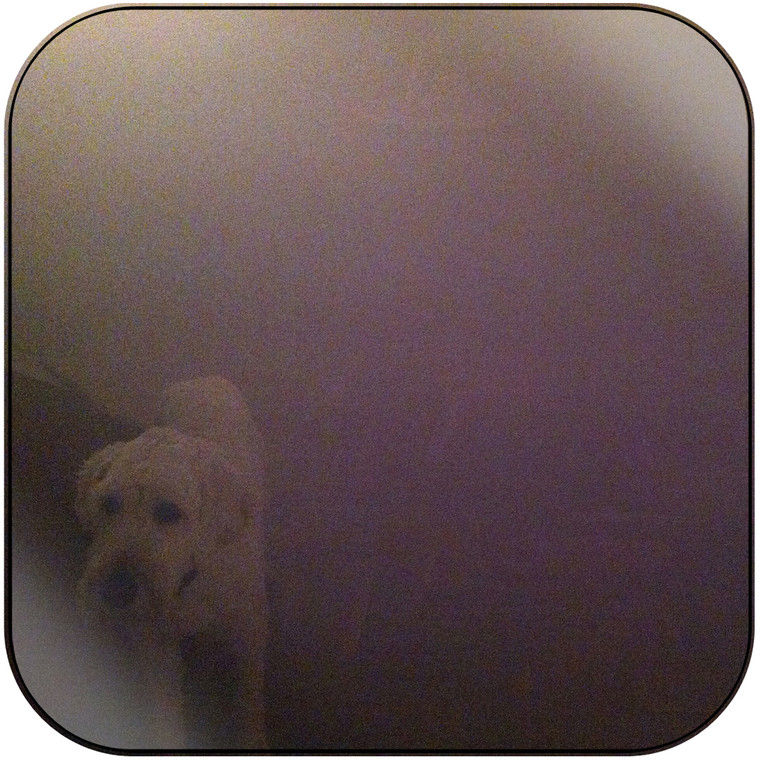 Oneohtrix Point Never Dog In The Fog Album Cover Sticker