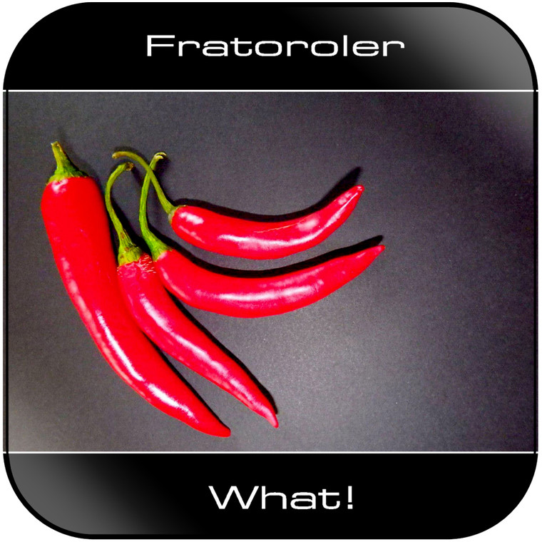 Fratoroler What Album Cover Sticker
