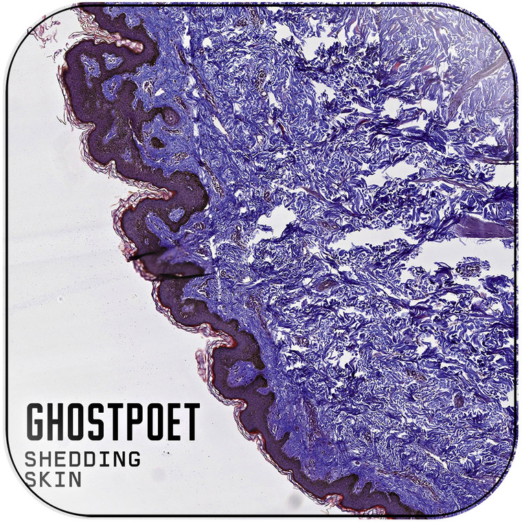 Ghostpoet Shedding Skin Album Cover Sticker