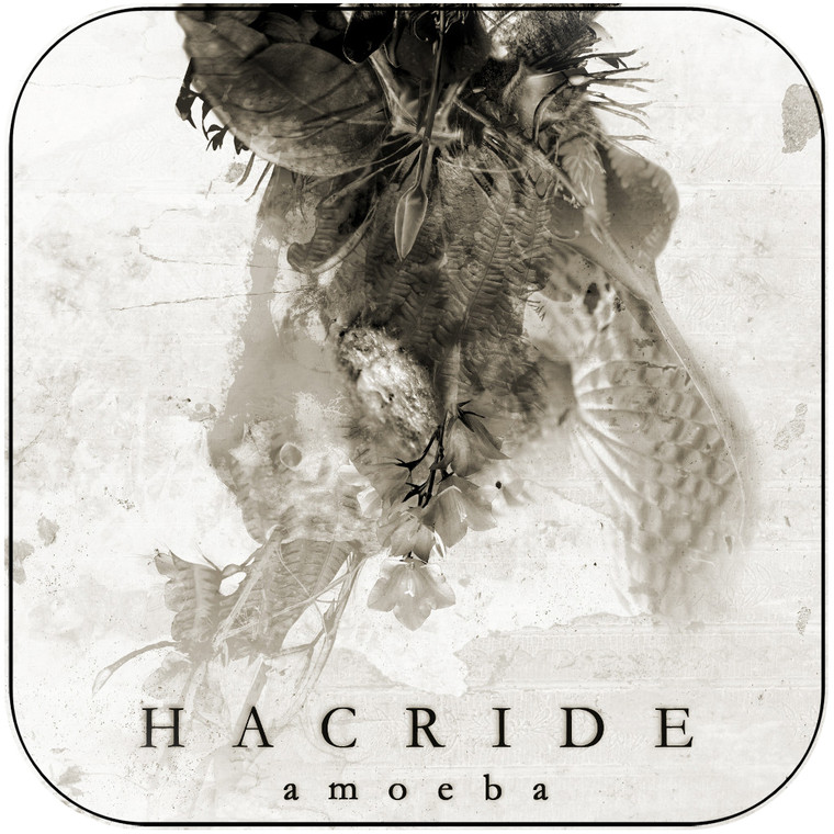 Hacride Amoeba Album Cover Sticker