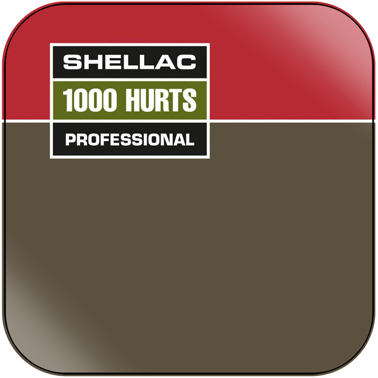 Shellac 1000 Hurts Album Cover Sticker