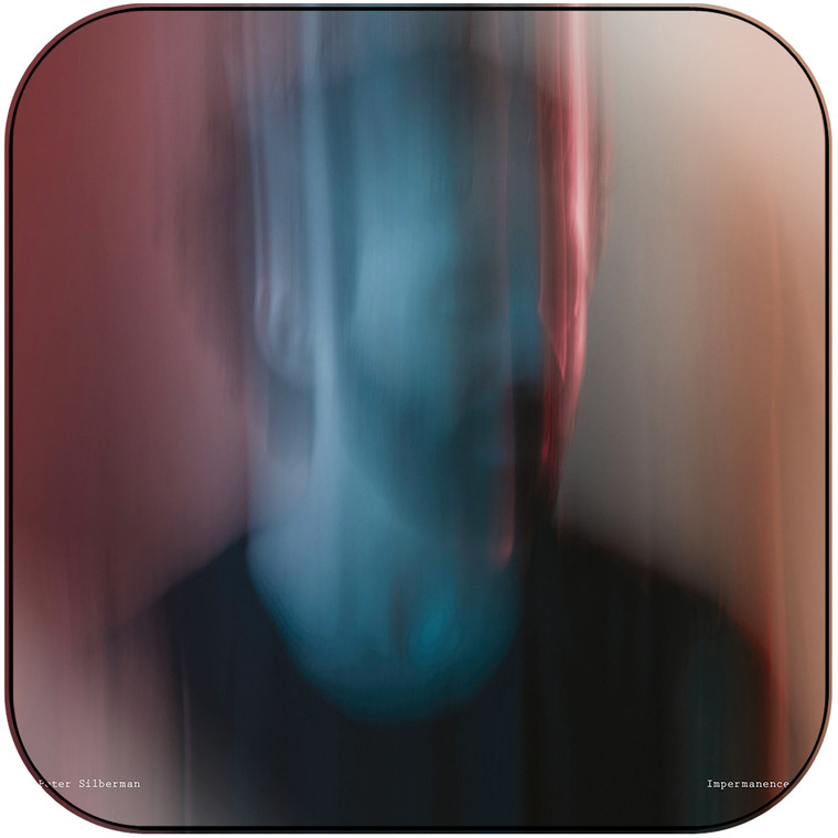 Peter Silberman Impermanence Album Cover Sticker