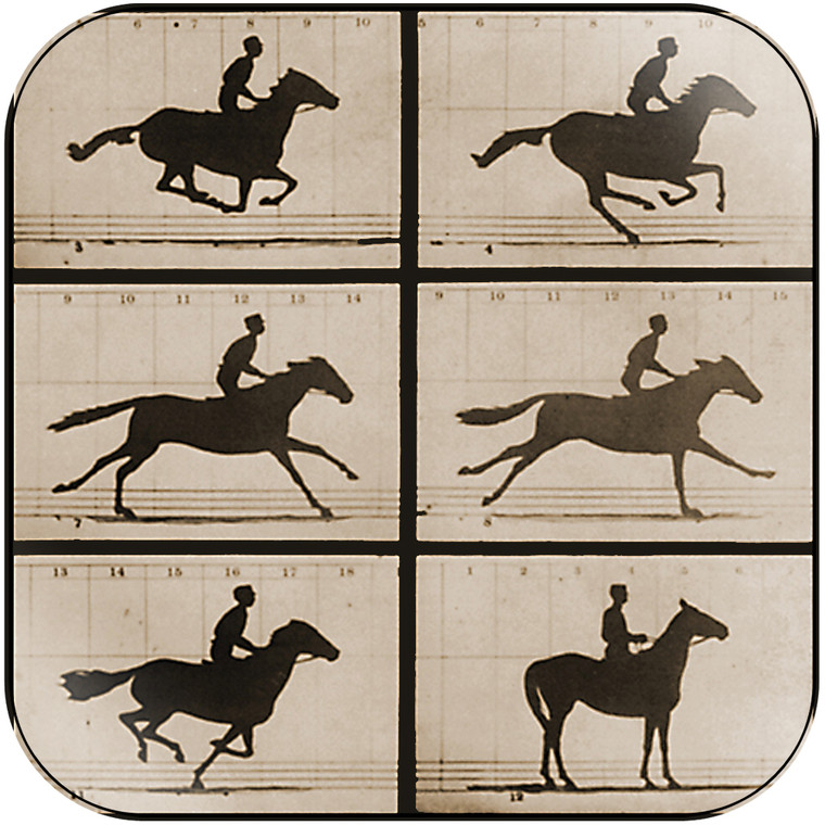 Laura Stevenson Runner Album Cover Sticker