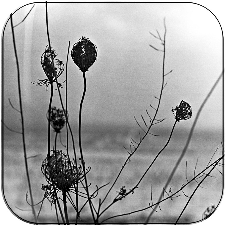 Recondite placid Album Cover Sticker Album Cover Sticker