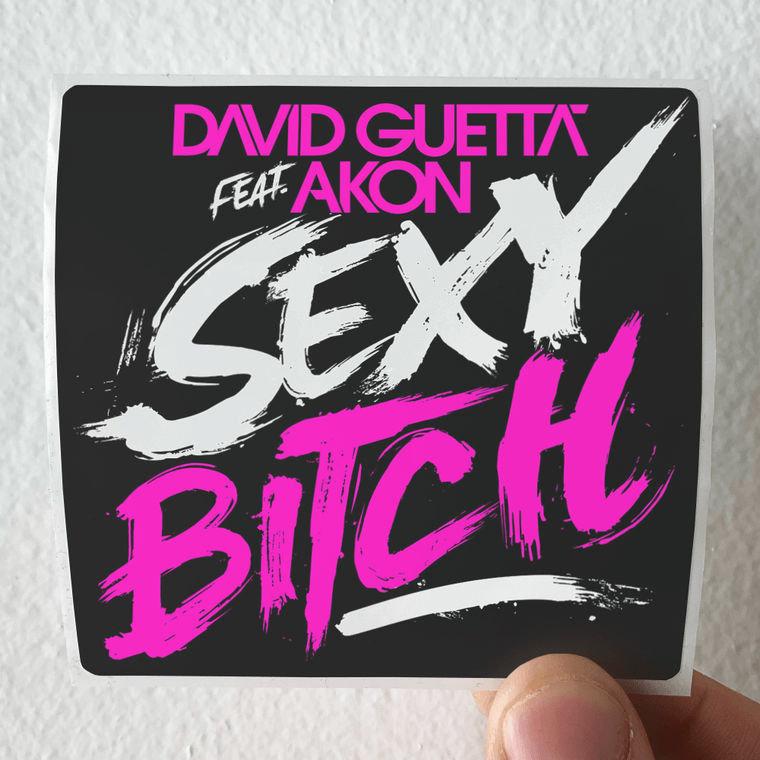 Akon-Sexy-Bitch-Album-Cover-Sticker