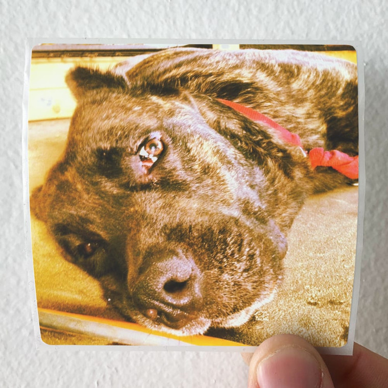 All-Them-Witches-Extra-Pleasant-Ep-Album-Cover-Sticker