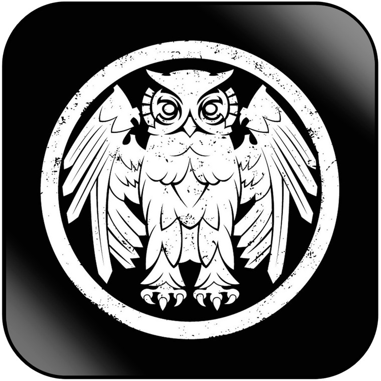 The Riverboat Gamblers underneath the owl Album Cover Sticker Album Cover Sticker