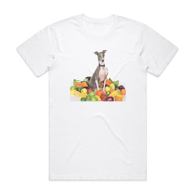 Shellac Excellent Italian Greyhound Album Cover T-Shirt White
