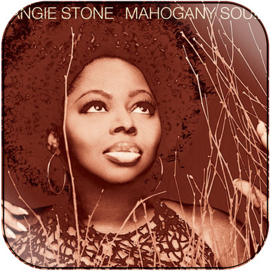 Angie Stone - Mahogany Soul アナログレコード送料込み