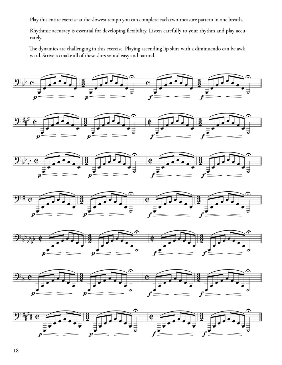 Total Flexibility For BBb Tuba - Accessorio Per Tuba BBb - Foto 3