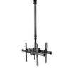 StarTech Ceiling TV Mount - Back-to-Back - For 32in to 75in Displays Main Product Image