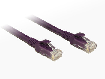 Product image for 0.25M Purple Cat6 Cable | AusPCMarket Australia