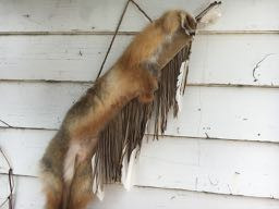 Coyote Hide Quiver including Arrows