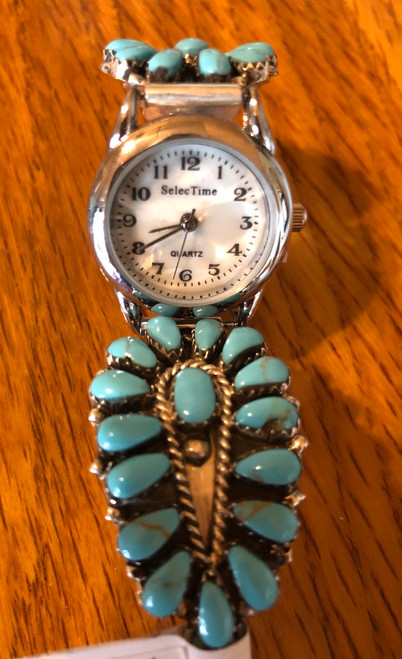 Navajo Cluster Watch Navajo Cluster Watch