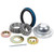 ALLSTAR PERFORMANCE Master Bearing Kit Hybrid