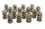 PAC RACING SPRINGS 1.374 Dual Valve Springs - (16)