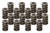 PAC RACING SPRINGS Valve Springs - HR Series (16)  1.555 Dual