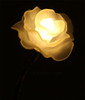 Wedding Rose Flower Warm White LED Lights in Vase