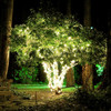 LED soft white fairy lights