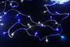 292 LED Blue and White Christmas Fairy Lights