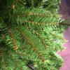 200cm 6.5ft Balsam Fir Traditional Christmas Tree 1838 tips