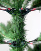 200cm 6.5ft Balsam Fir Traditional Christmas Tree 1838 tips