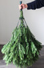 200cm 6.5ft Balsam Fir Traditional Christmas Tree 1838 tips