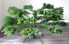 275cm 9ft Balsam Fir Traditional Christmas Tree 4026 tips