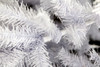 Norway Spruce White Traditional Christmas Tree