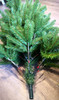 Subalpine Fir Traditional Christmas Pencil Tree