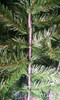 1.8m Norway Spruce Christmas Flip Tree