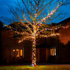 50M 560 IP44 Ultra Bright LED Multi Colours Fairy Lights with 8 Memory Functions (Green Wire)