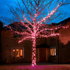 LED pink fairy lights 8 memory functions clear wire