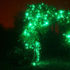 LED green fairy lights clear wire