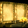 308 LED Warm White Window Curtain Fairy Backdrop Lights 3M X 2M