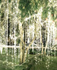 308 LED White Window Curtain Fairy Backdrop Lights 3M X 2M