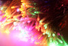 462 LED Multi Colour Curtain Backdrop Fairy Lights with 8 Memory Functions