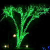 LED green solar fairy lights green wire