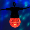 LED Multi Colours Festoon Lights