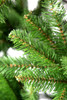 Subalpine Fir Traditional Christmas Pencil Tree