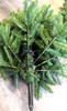 Subalpine Fir Traditional Christmas Pencil Tree