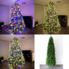 Subalpine Fir Traditional Christmas Pencil Tree