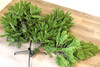 Subalpine Fir Traditional Christmas Pencil Tree